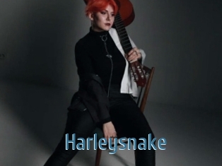 Harleysnake