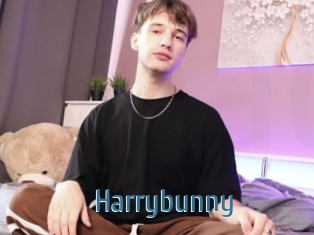 Harrybunny