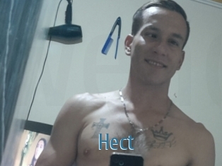 Hect