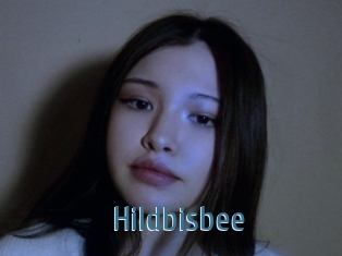 Hildbisbee