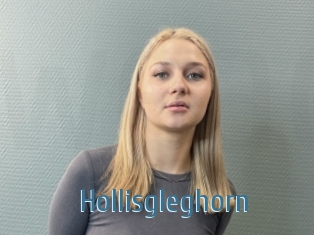 Hollisgleghorn