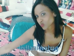 Indianlovebug