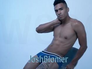 JoshBlomer