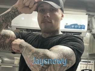 Jaysnowy
