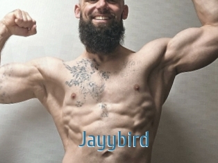 Jayybird