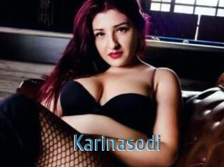 Karinasodi