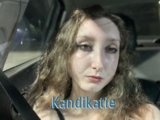 Kandikatie