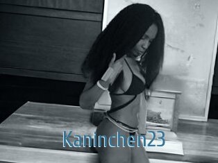 Kaninchen23