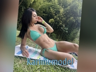 Karimemodel