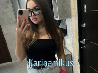 Karinamikus