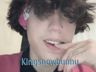 Kingsnowbunny