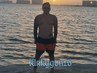 Kinkygonzo