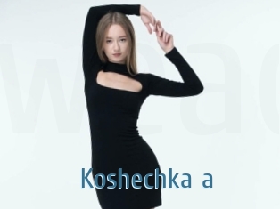 Koshechka_a