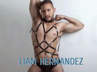 LIAM_HERNANDEZ