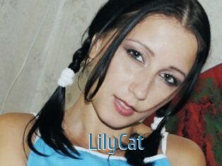 Lily_Cat_