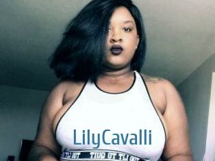 Lily_Cavalli