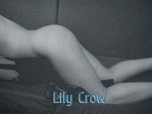 Lily_Crow