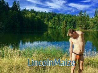 Lincoln_Maize