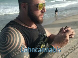 Lobocannabis