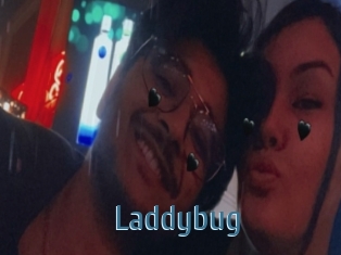 Laddybug