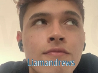 Liamandrews