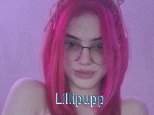 Lillipupp