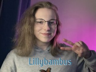 Lillybambus