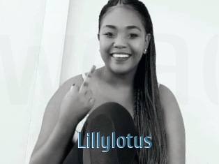 Lillylotus