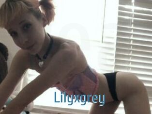 Lilyxgrey