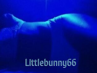 Littlebunny66