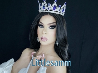 Littlesamm