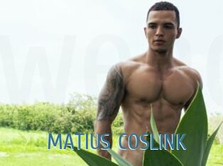 MATIUS_COSLINK