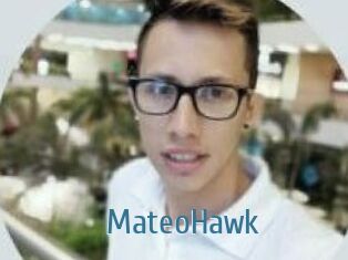 MateoHawk