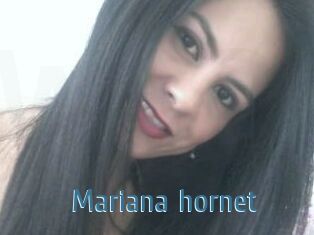 Mariana_hornet