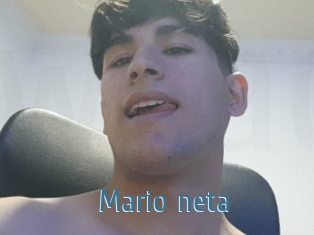 Mario_neta