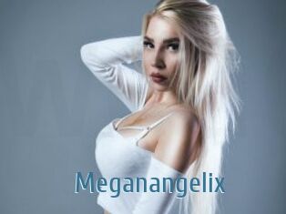 Meganangelix