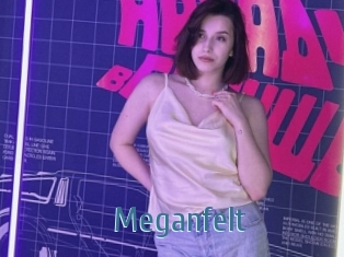 Meganfelt