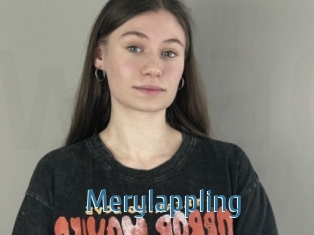 Merylappling