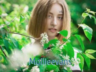 Mollieevans