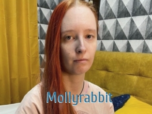 Mollyrabbit