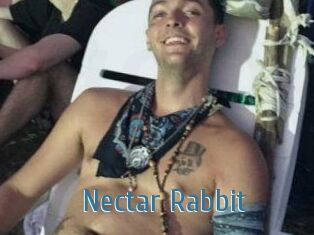 Nectar_Rabbit