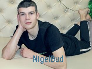 NigelBud