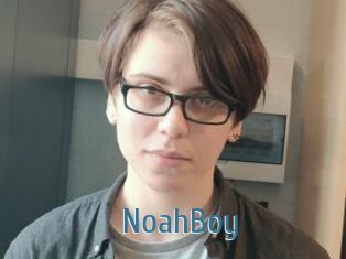 NoahBoy