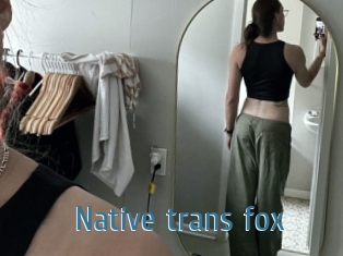 Native_trans_fox