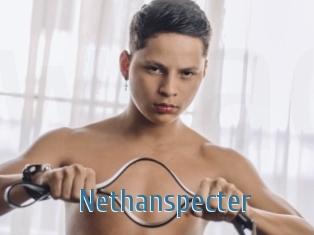 Nethanspecter