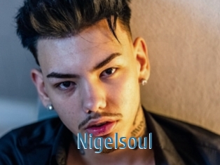 Nigelsoul