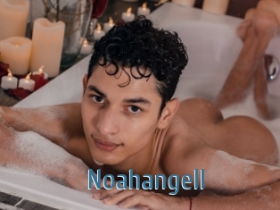 Noahangell