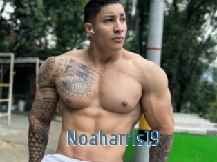 Noaharris19