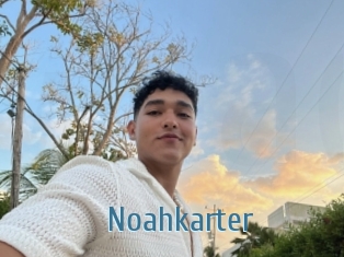 Noahkarter