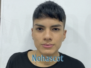 Nohascot